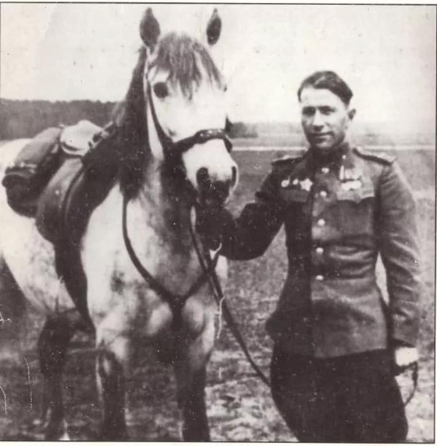 Фото в свободном доступе