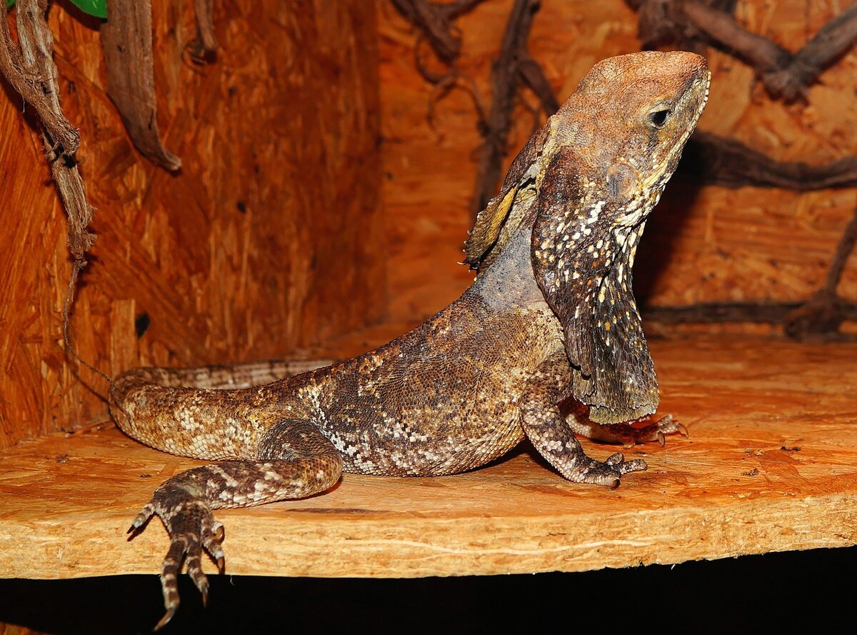 А я иду такая вся...