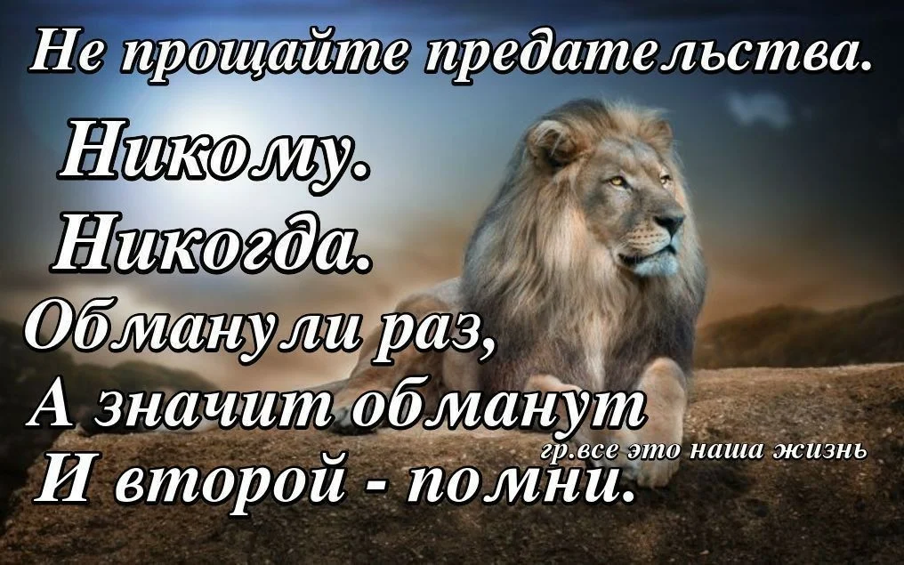 Привет предателям. Мудрые мысли о предательстве. Статусы про предателей. Мудрые фразы о предательстве. Предателей не прощают цитаты.