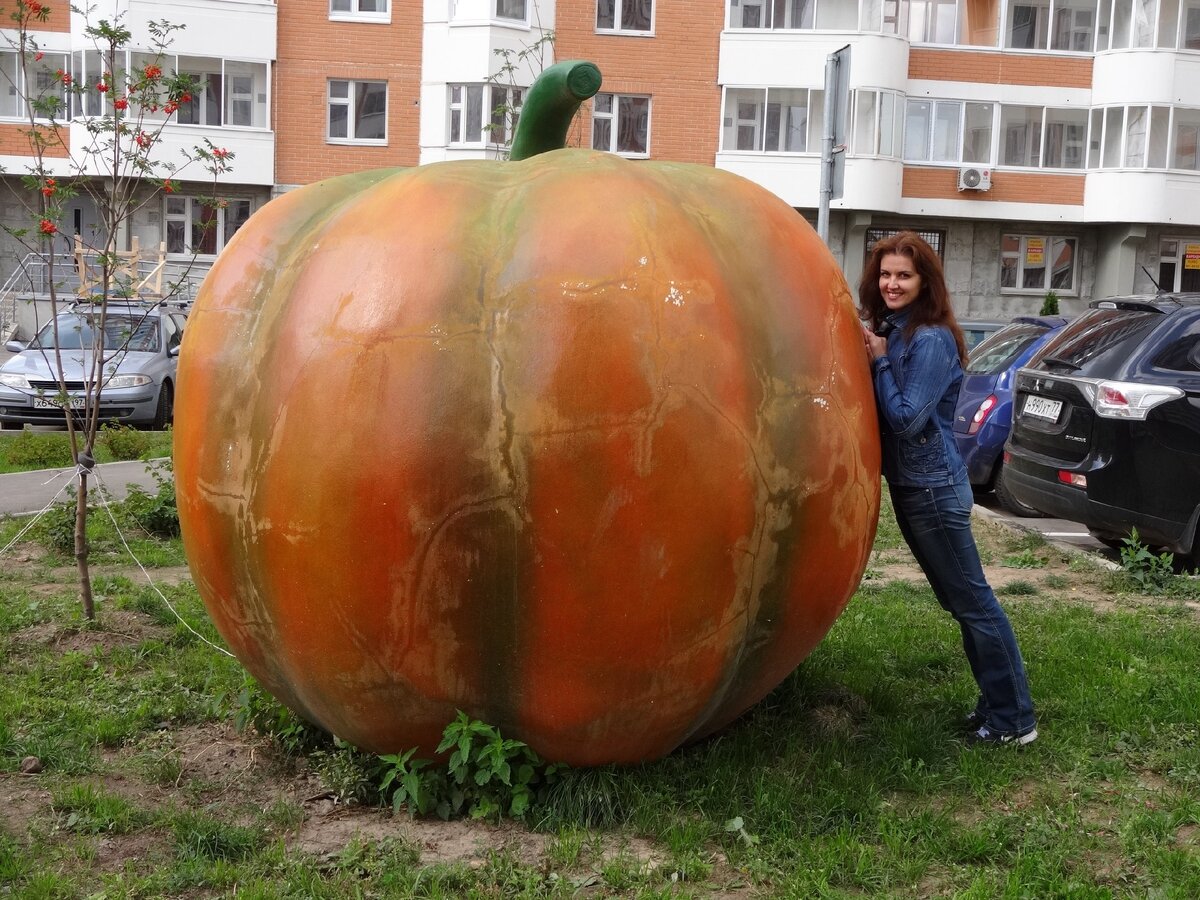 Фото автора. 