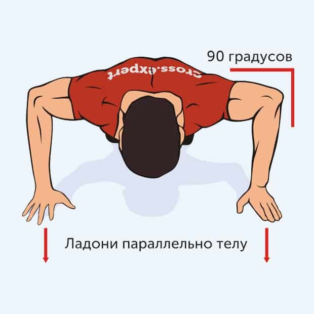 Фото- пример упора лежа. Источник: Яндекс картинки