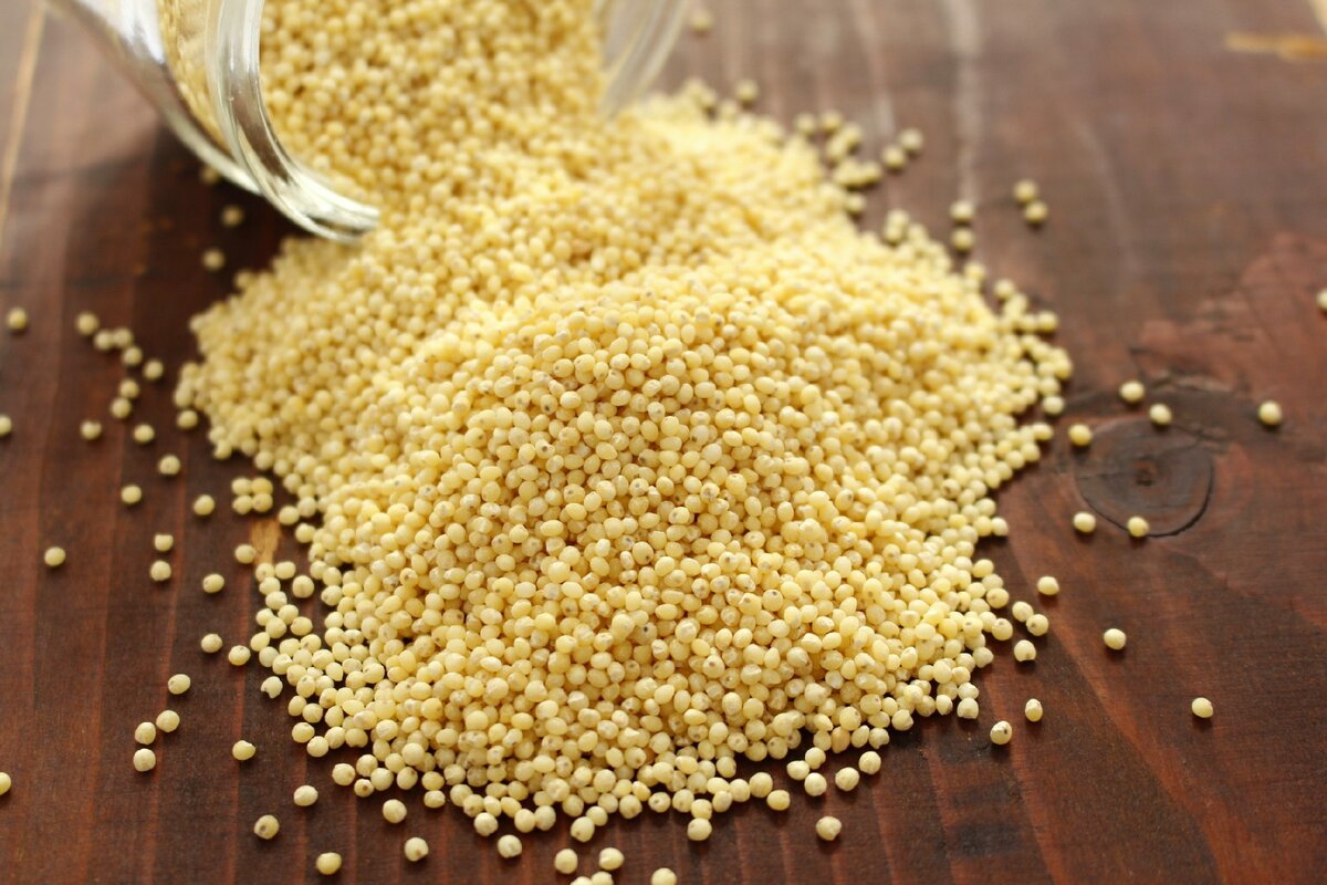 Millet Wholesale
