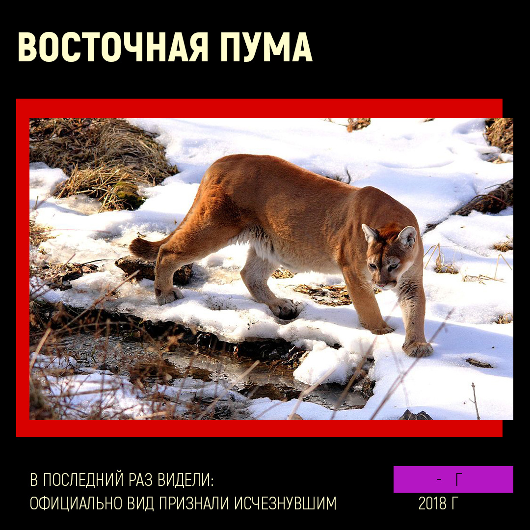 Фотография взята из открытых источников