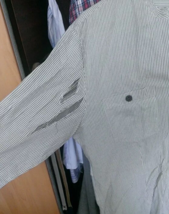 Фото из свободных источников