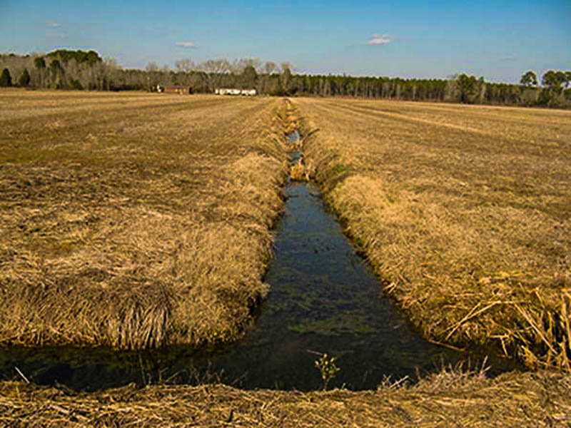 ЯндексЯндекс