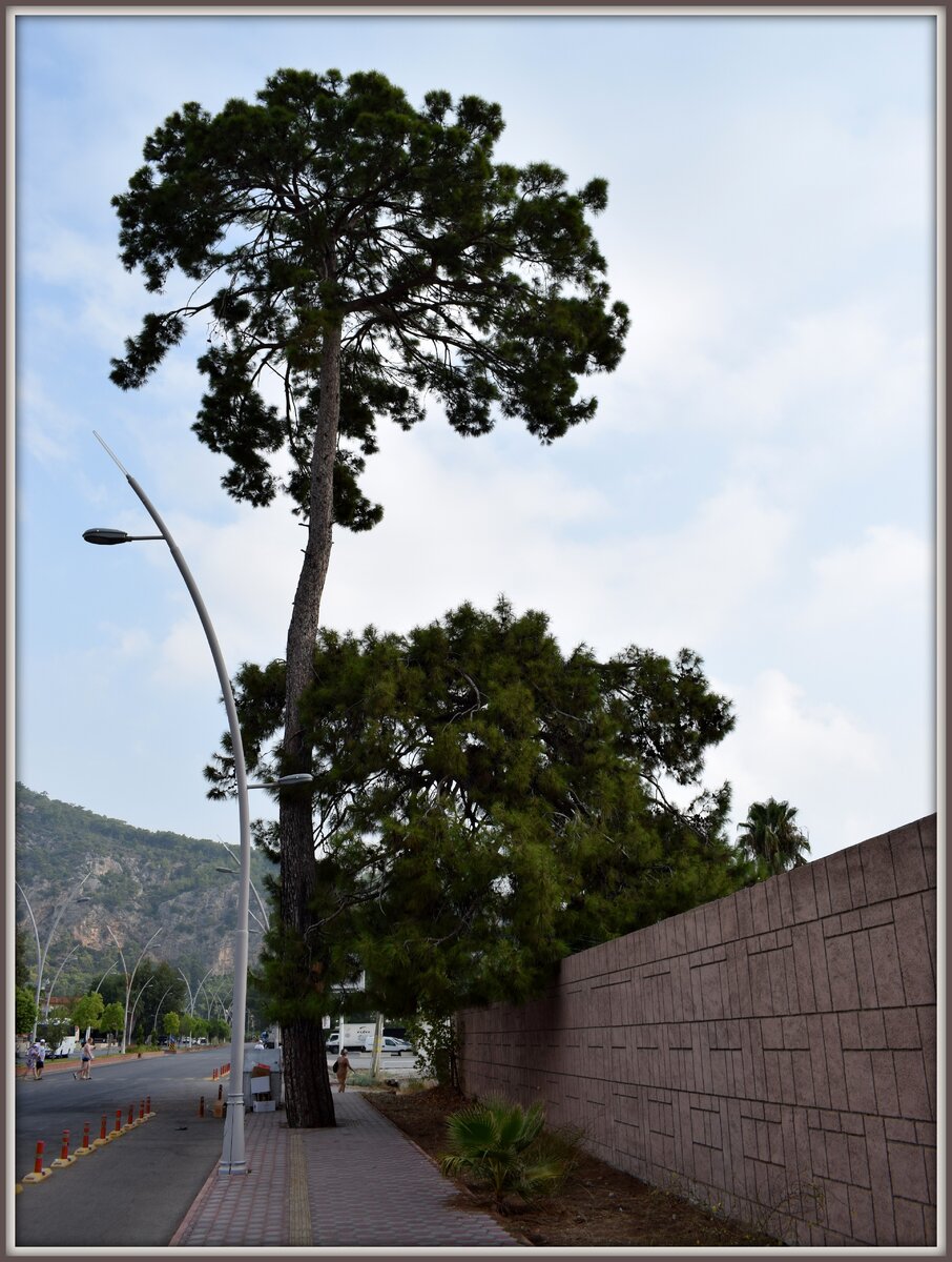 Дорога к пляжу