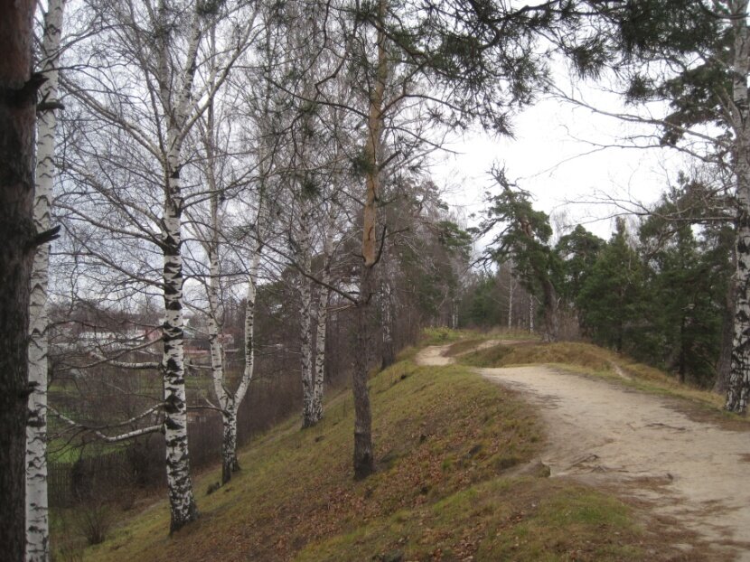 Остатки городецких валов