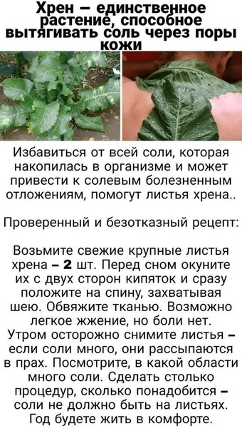 Информация из соцсетей ВКонтакте