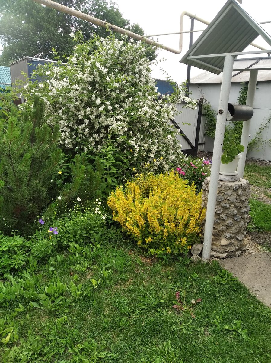 Источник: фото автора  