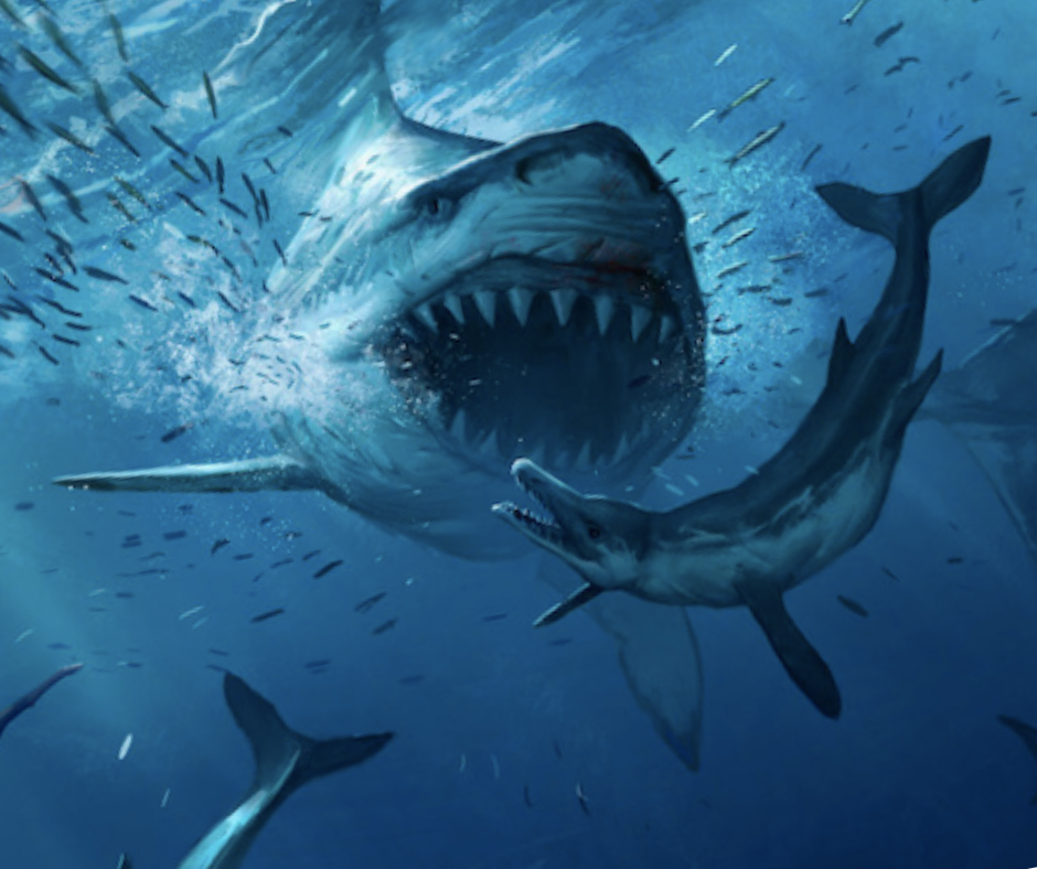 Как выглядит красный мегалодон SYÖDÄÄN MEGALODON!! Pelataan Feed and Grow #5 YouTube