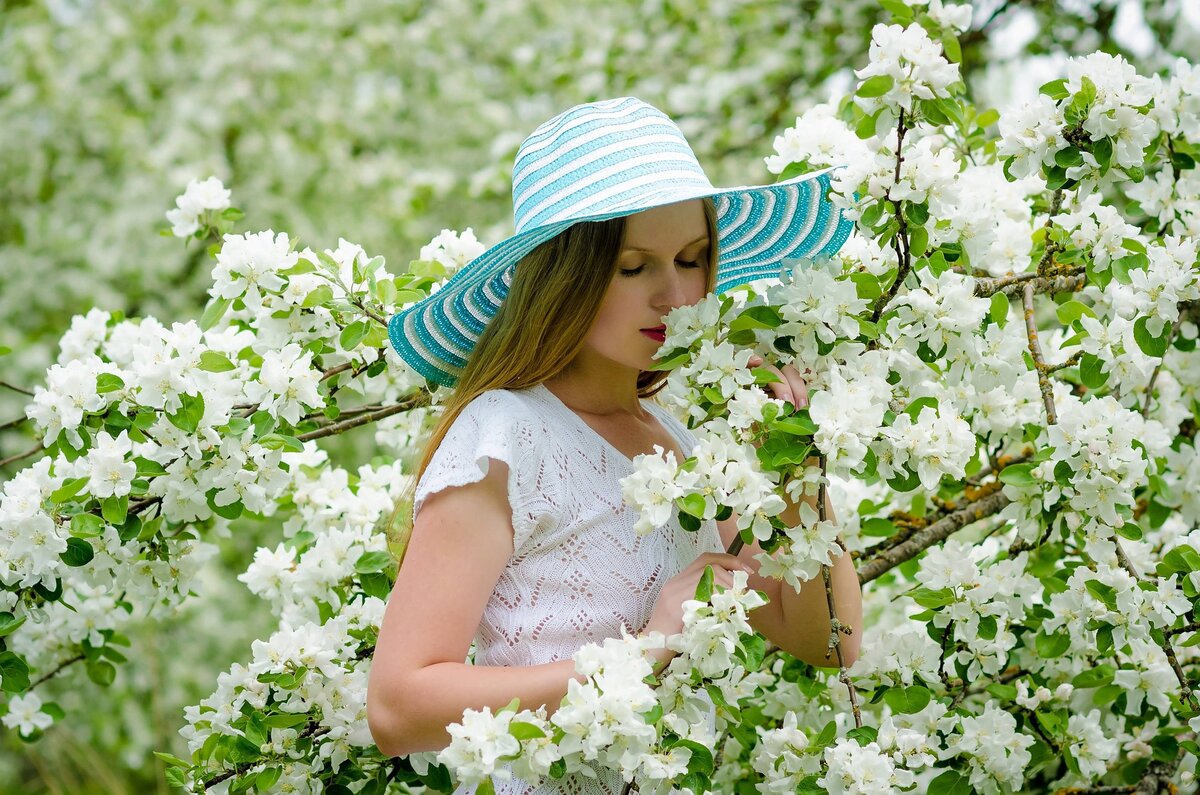 Изображение Екатерина Александровна с сайта Pixabay 