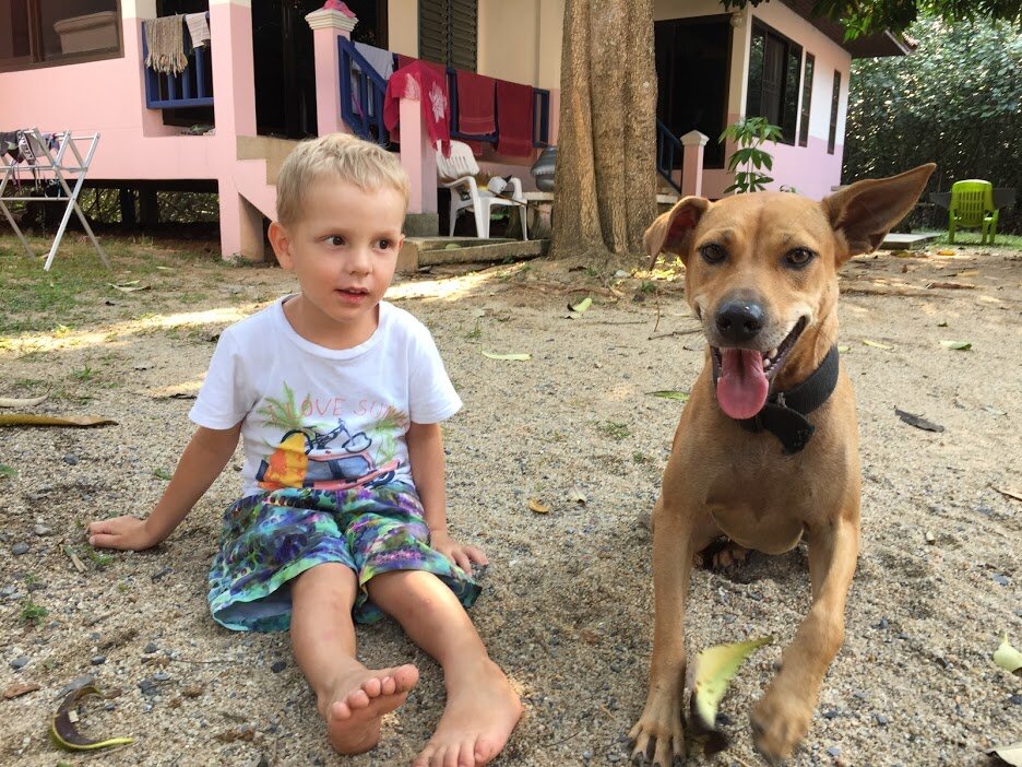 Дети "дружат" со всеми встречающимися им собаками