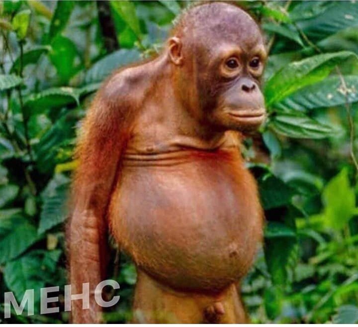 руководство ДзенЯндекса думает