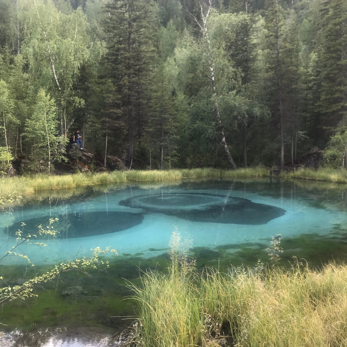 Без цветокоррекции