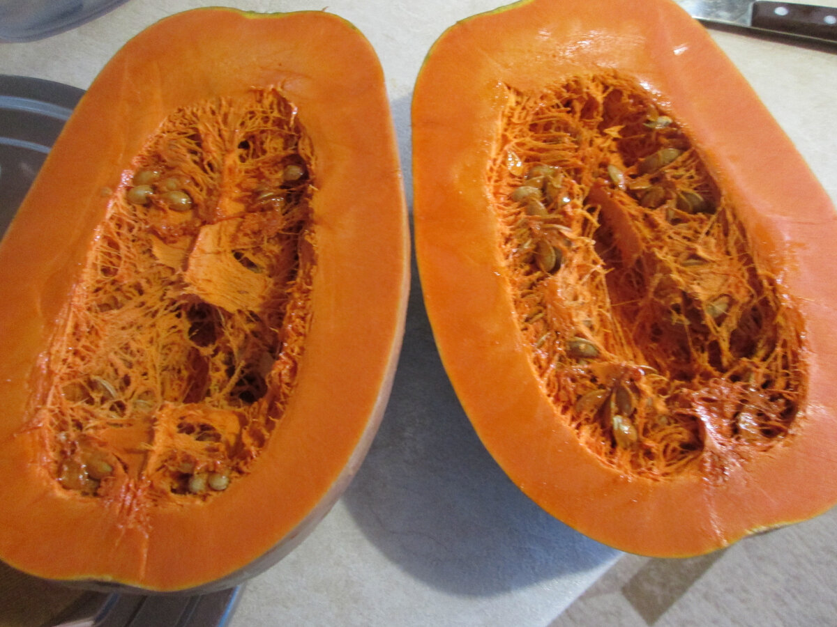 Мускатная тыква. фото автора