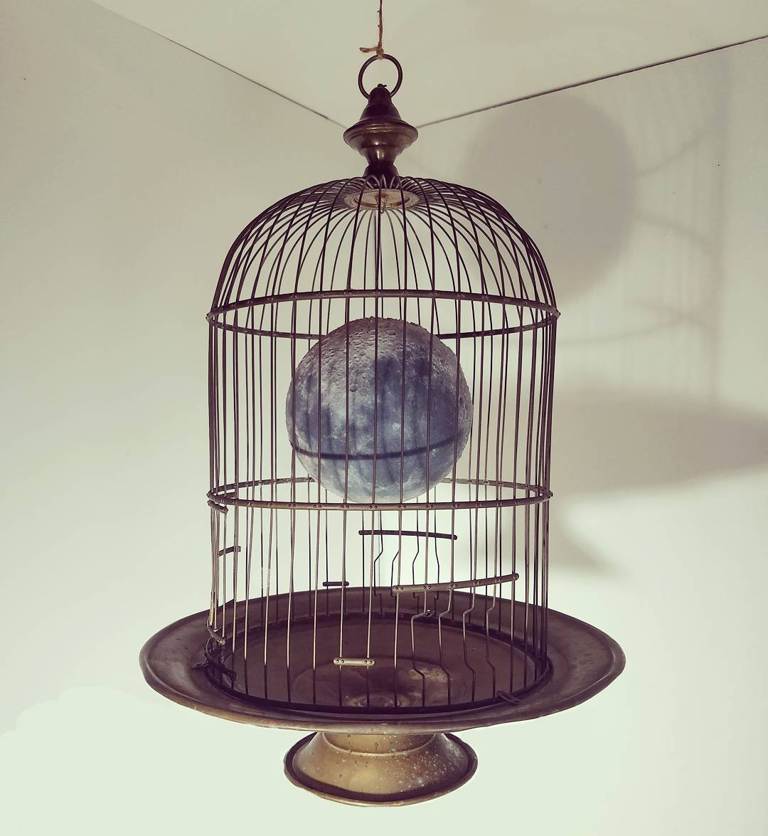 La verdadera historia de los objetos. Настоящая история вещей