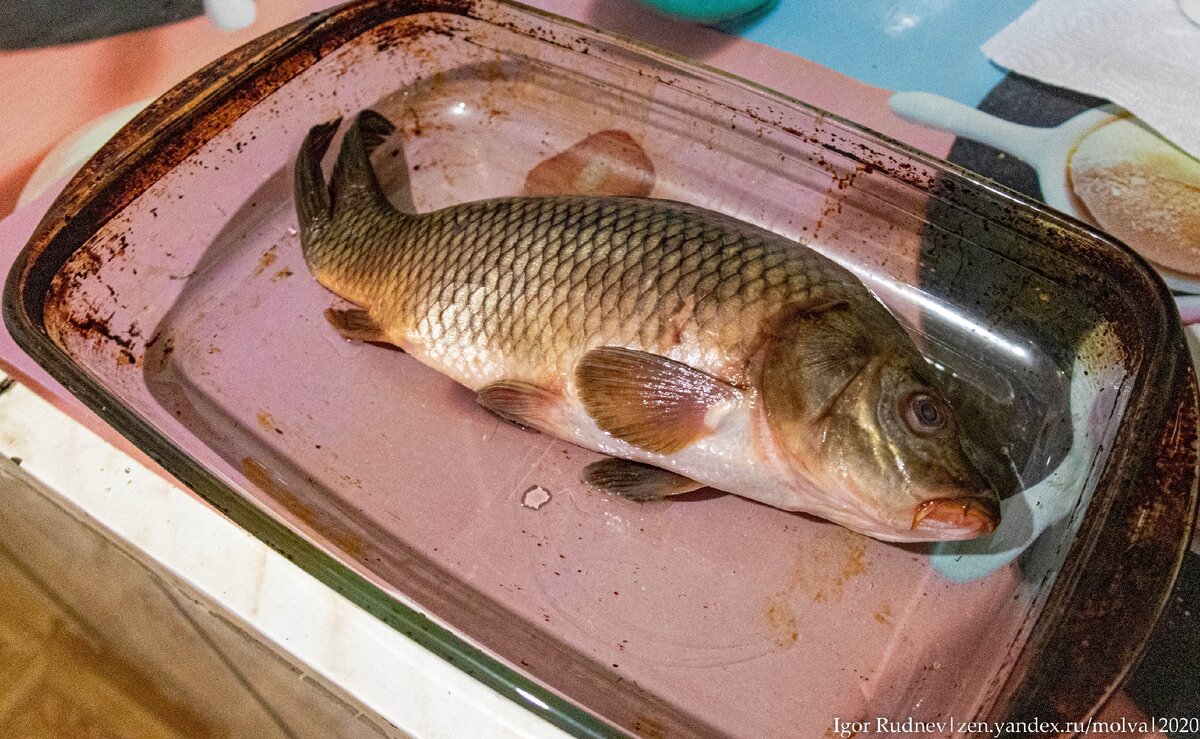 Хороший такой карпик, грамм на 700 потянет