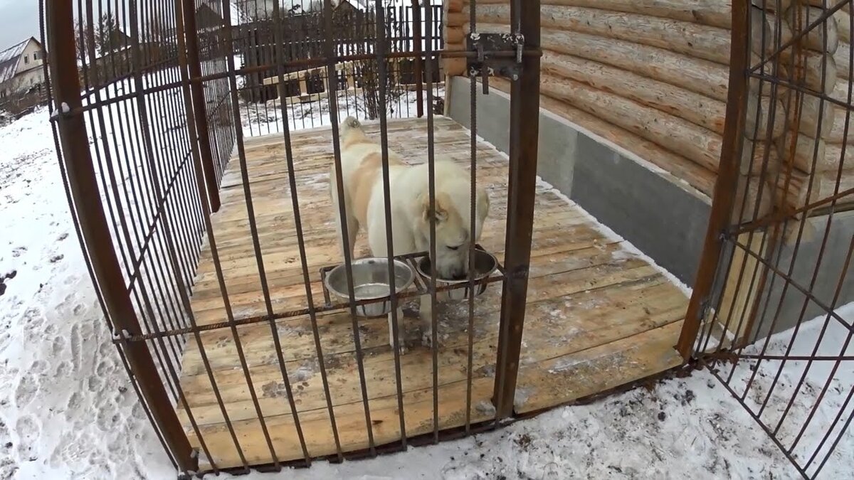 Кормушка для собак в вольере чертеж