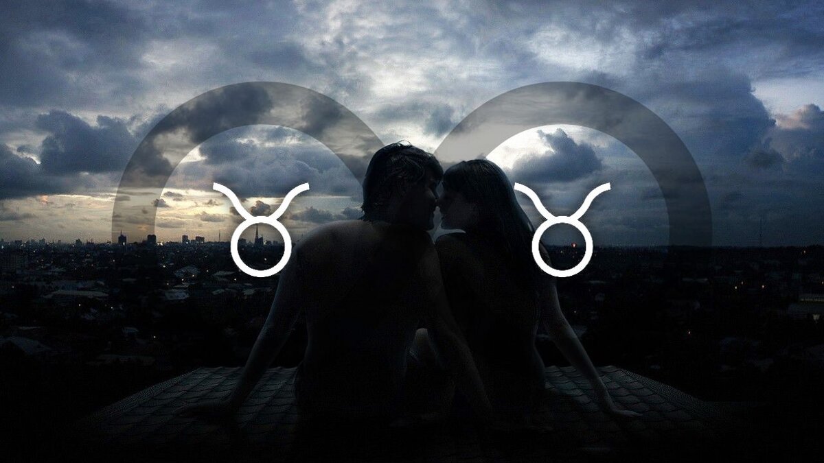 Телец и телец. 