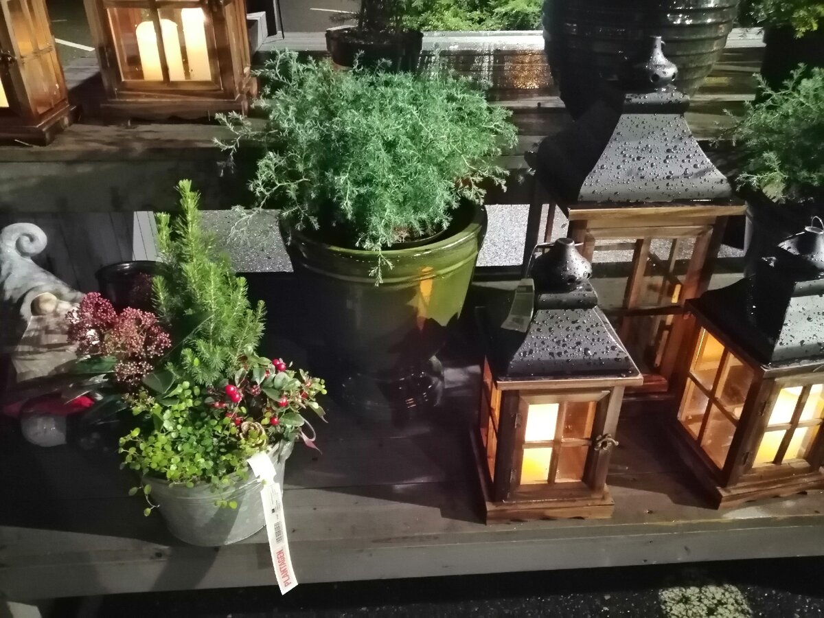 Фонарики.Просто чуда как хороши. В норвежское Рождество без них никак. Словно сошли со страниц сказок Андерсена. Фото автора.