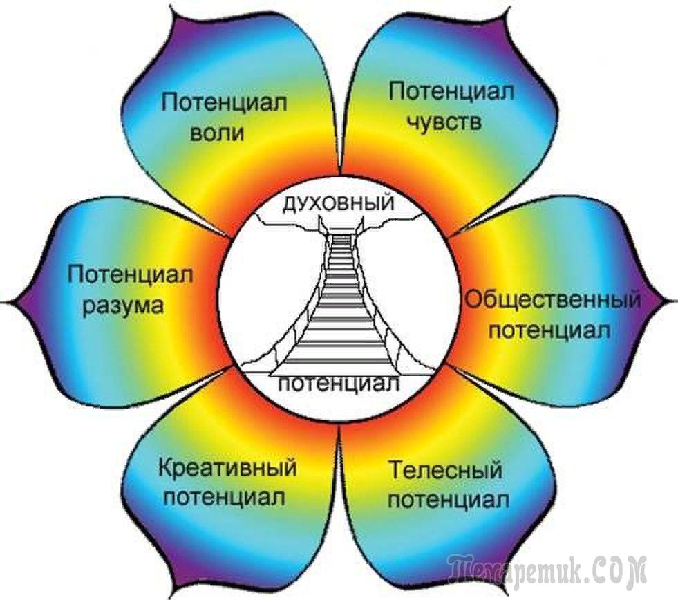 Ценность творческой деятельности. Цветок потенциалов личности в.а Ананьев. Цветок потенциала Ананьева. Цветок потенциалов личности в психологии. Цветок потенциалов Анарьева.