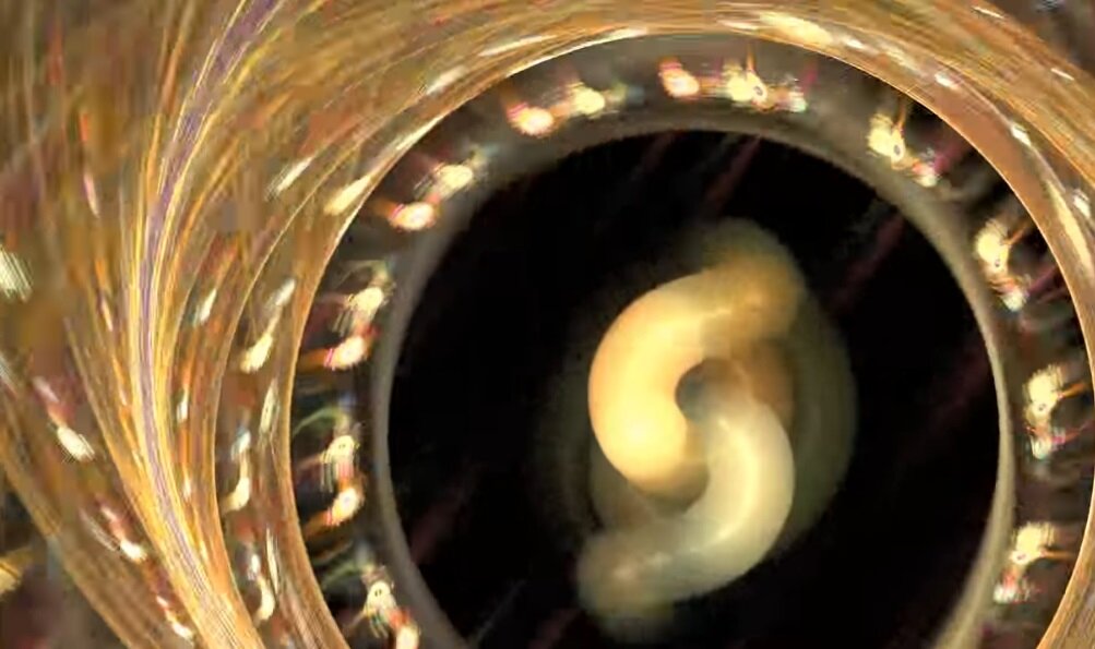 Фото для первого выпуска совместимостей