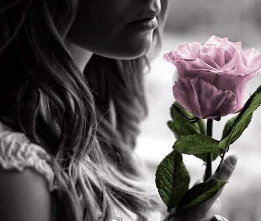 Фото из открытого источника Яндекс картинки 