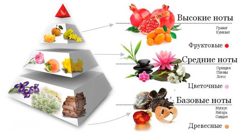 Что нам говорит пирамида