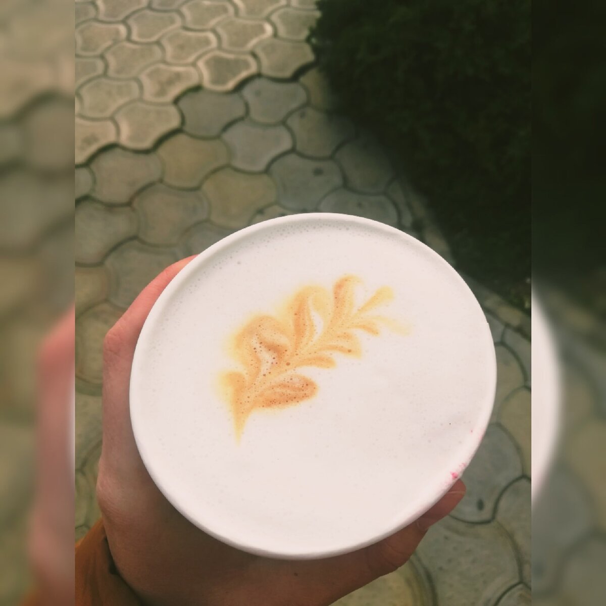 Купила кофе, мой любимый латте, вот такую веточку симпатичную нарисовали для меня на пенке, кстати напитка не пожалели, налили кофе через край аж, пришлось "отхлебнуть", чтобы идти дальше и не пролить на себя (что в последнее время становится нормой, хм...