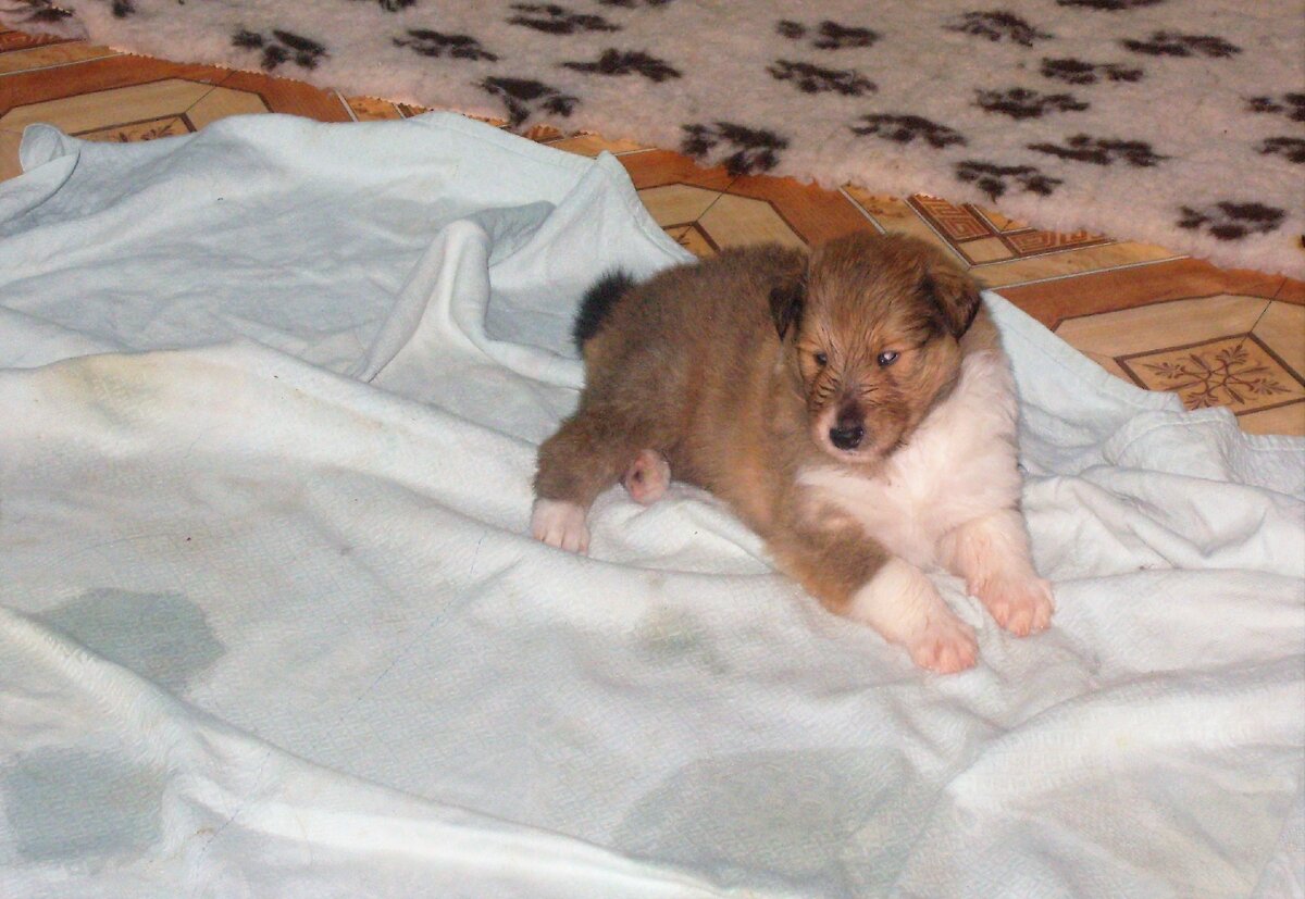 Авторское фото