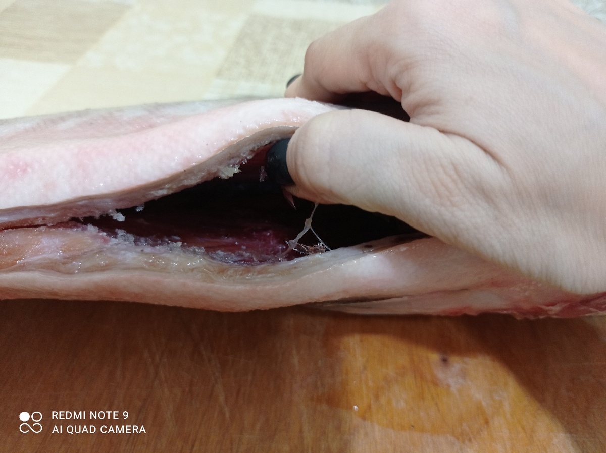 Брюхо вскрыто. 