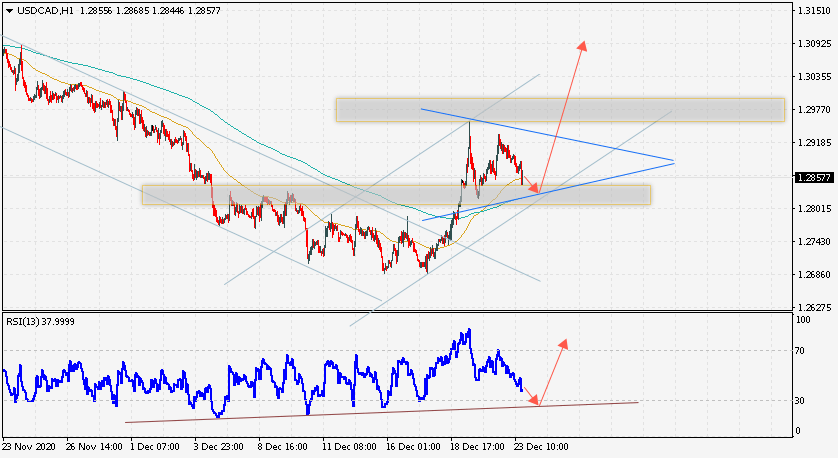 Прогноз Доллара по паре USD/CAD на 24 декабря 2020