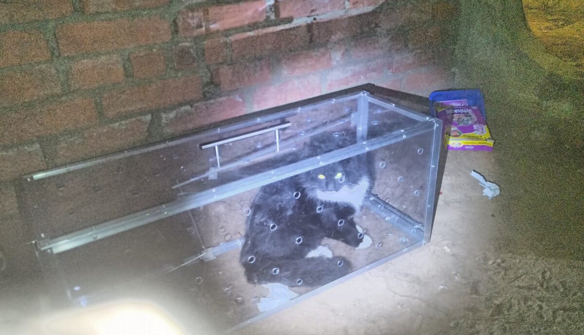 Пластиковая котоловка "Следопыт"