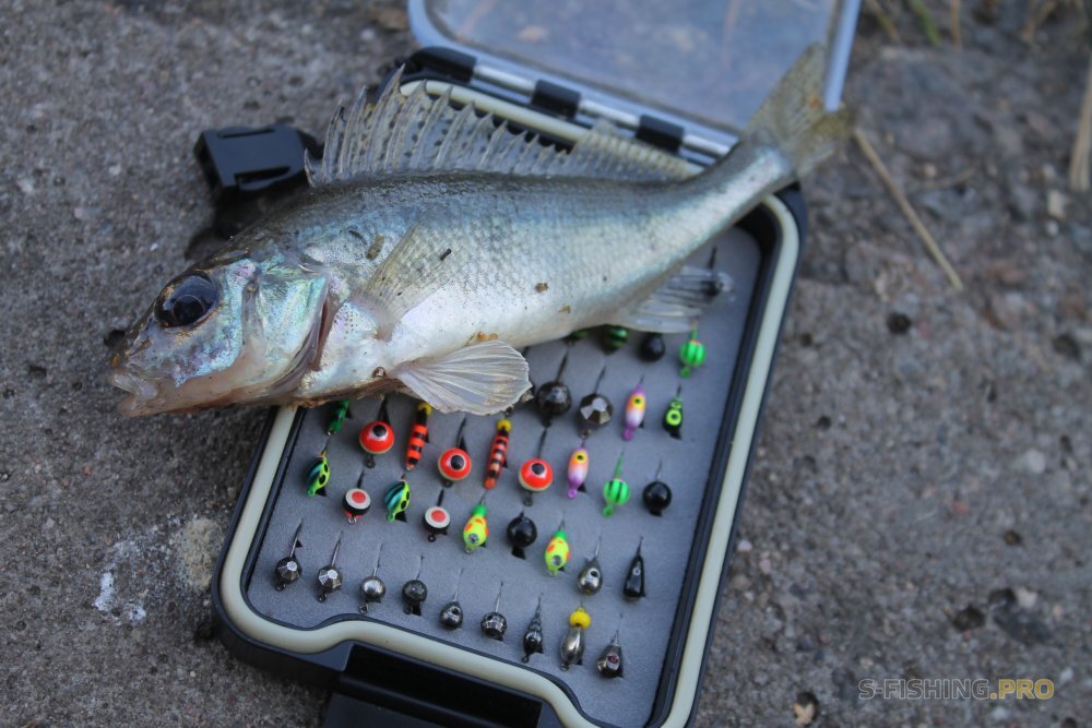 Тот случай, когда на спиннинг можно поймать даже ерша! Фото: s-fishing.pro