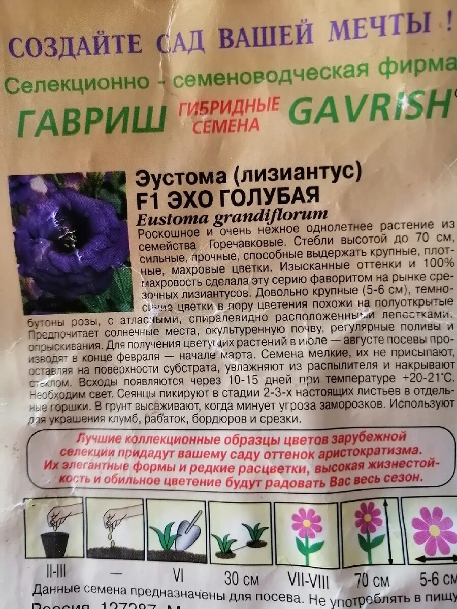 Надеюсь, что зацветет моя эустома в июле, как указано на упаковке.