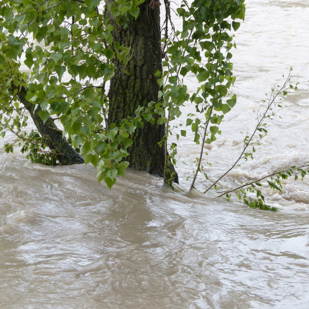 Фотография из общедоступных источников