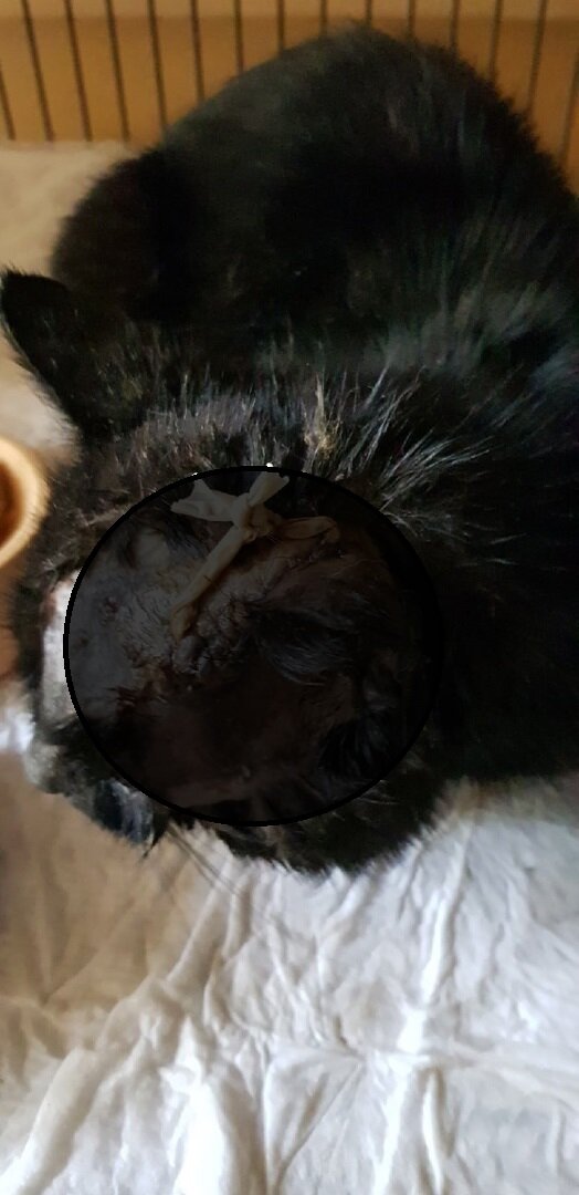 -2