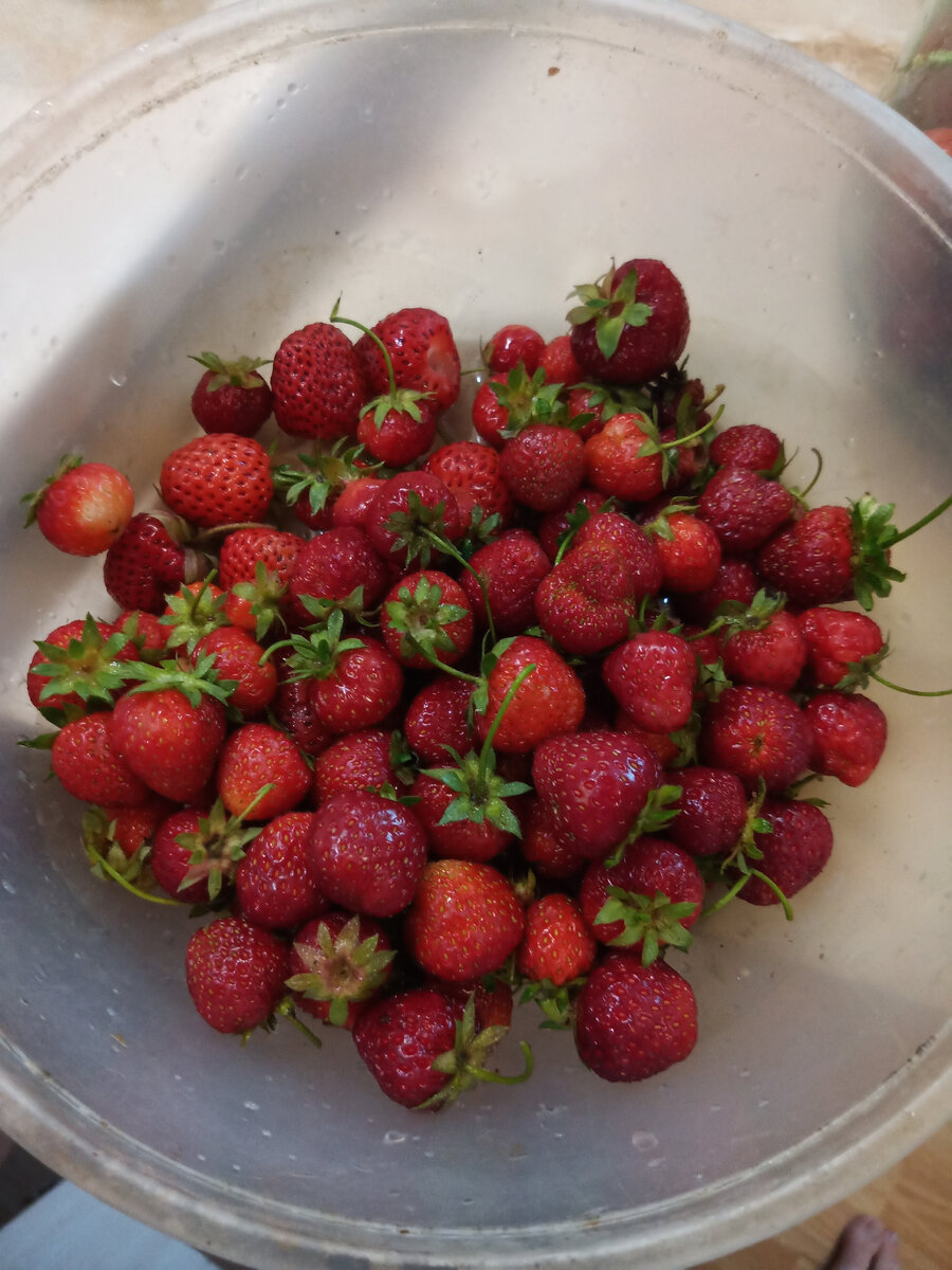 Клубнику тоже промыла ее у меня было немного. Примерно грам 900