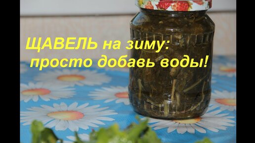 Щавель на зиму. Очень простой рецепт. Витамины всю зиму.