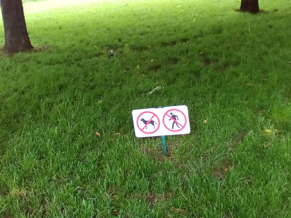 По газонам не ходить