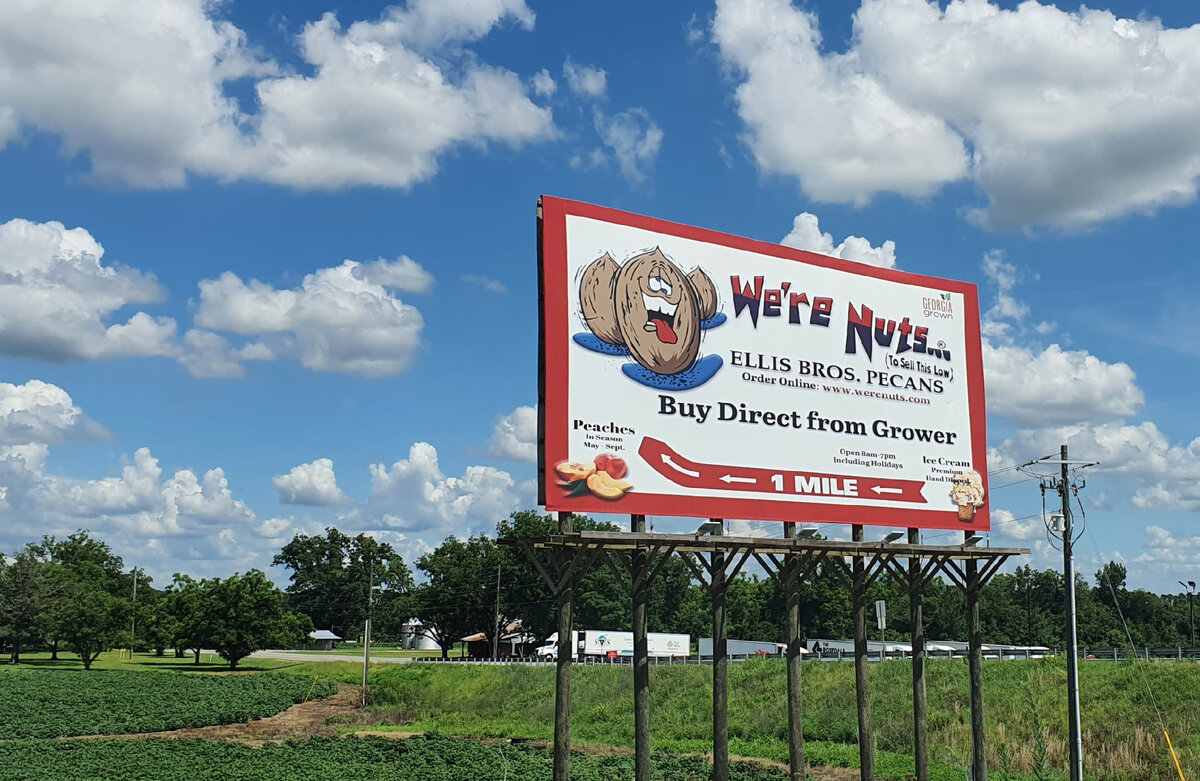 Пеканы и персики напрямую от фермера