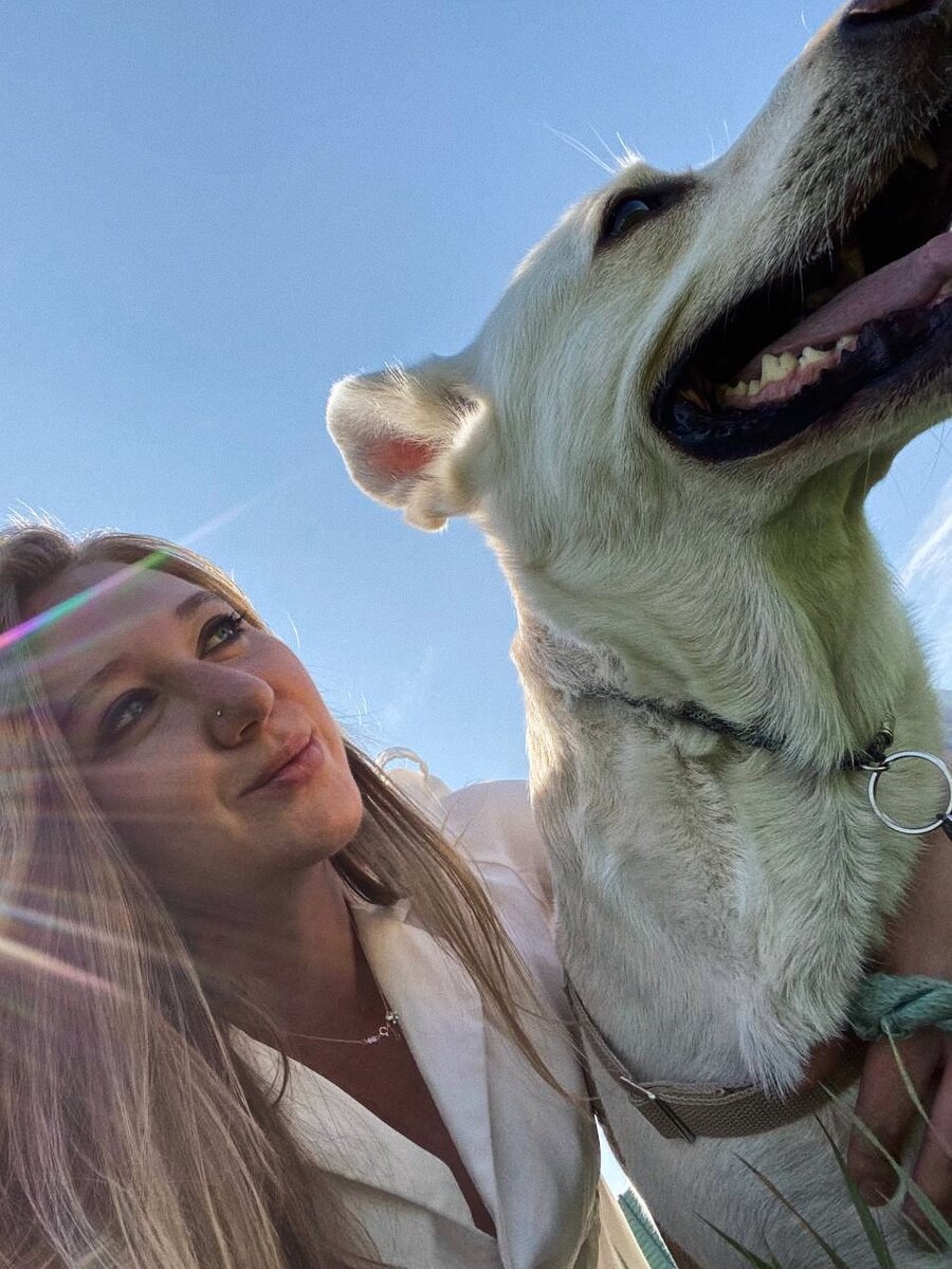 Вот он деньрожденьческий пёс ❤️