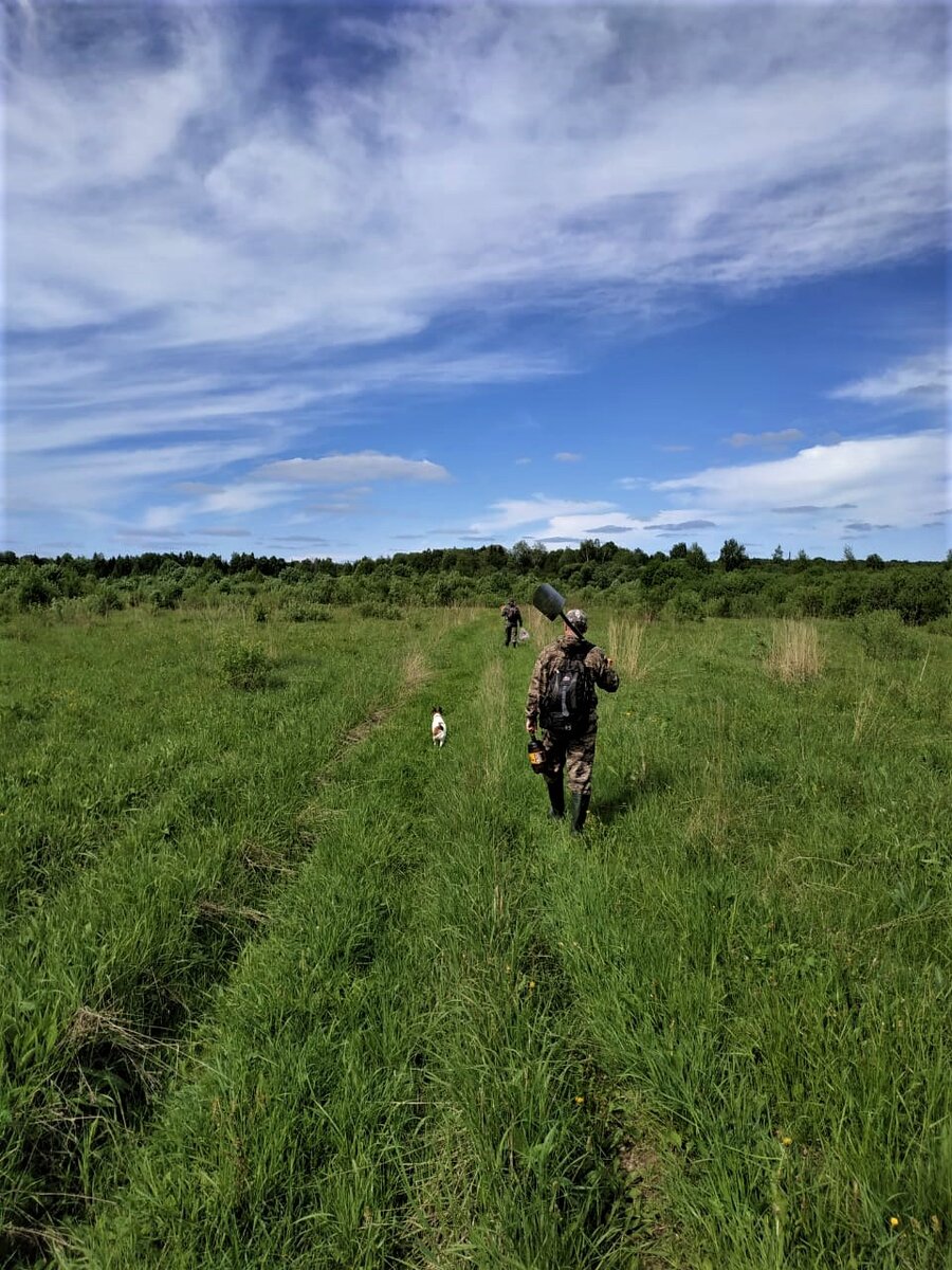 Идём на поле. 