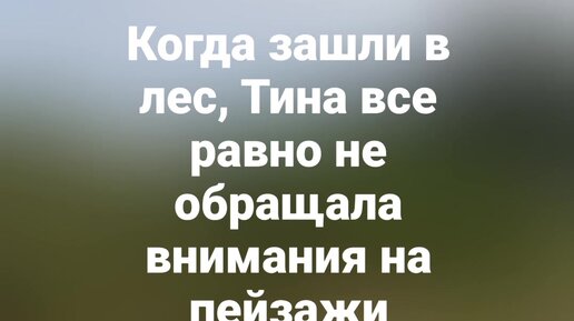 Только спустя несколько лет получилось заняться этой собакой