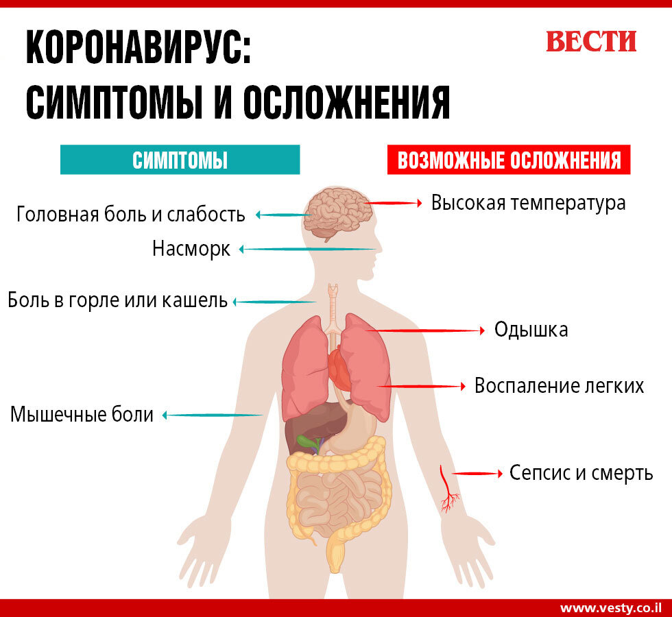 Что вас ждет после перенесенного Ковид-2019 | Все обо всем | Дзен