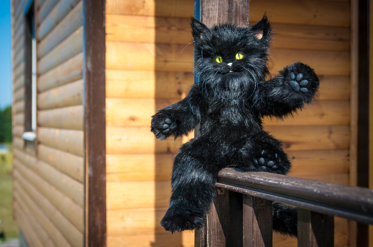 ФОТО С ПРОСТОРОВ ИНТЕРНЕТА