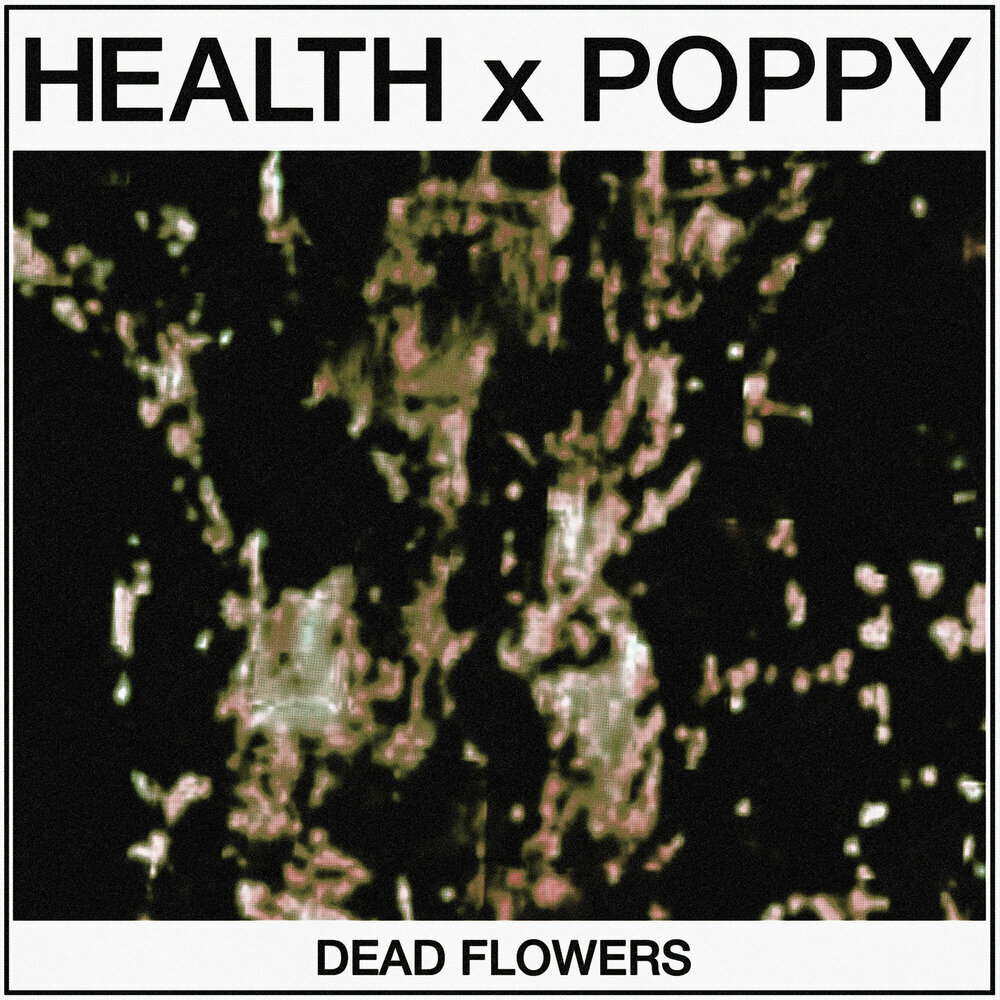 Обложка сингла "Dead Flowers"