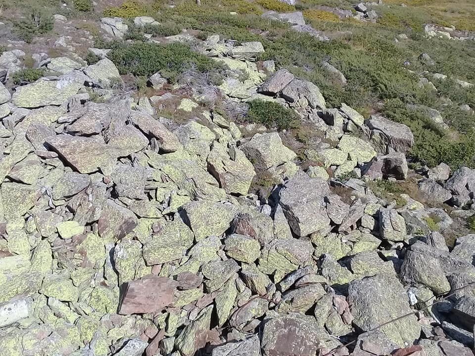 ...а луга уже сменяются голыми скалами. 