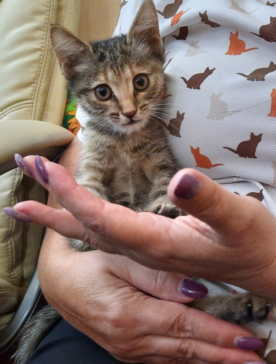 Фото из архивов автора Вот так мы и работали вместе