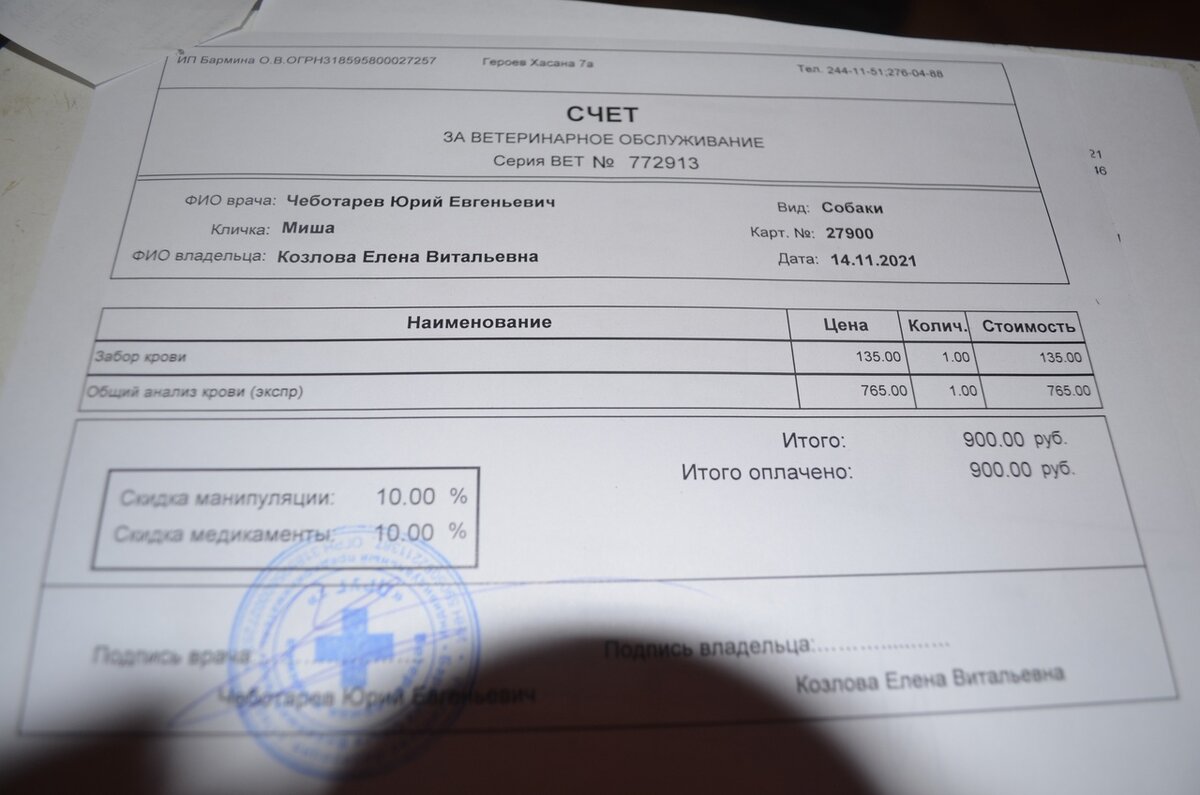 Миша поехал на такси (Миша погиб) | ЯЖИВОЙ Дзен - спасенные животные в  добрые руки г.Перми и Пермского Края 59 регион | Дзен